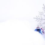 Abogados En Valladolid Expertos En Multipropiedad